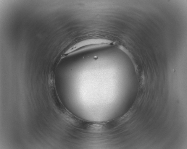 X0000063520176200602172224