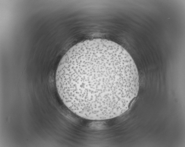 X0000063520179200602172224