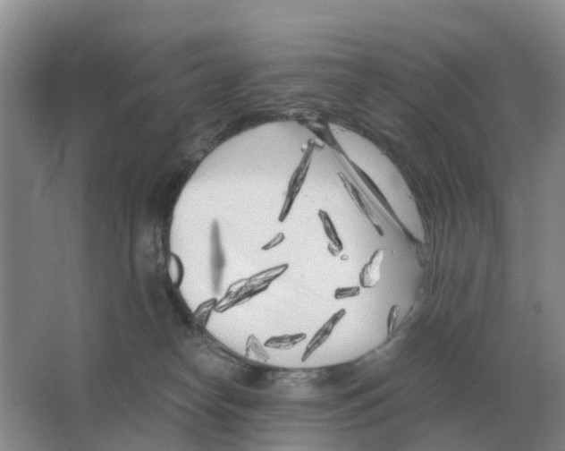 X0000063520182200602172224