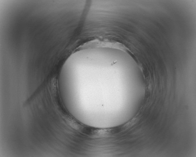 X0000063520184200602172224