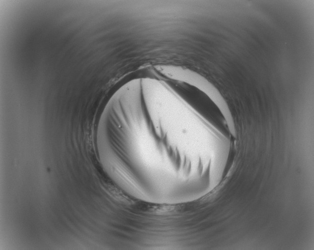 X0000063520186200602172225