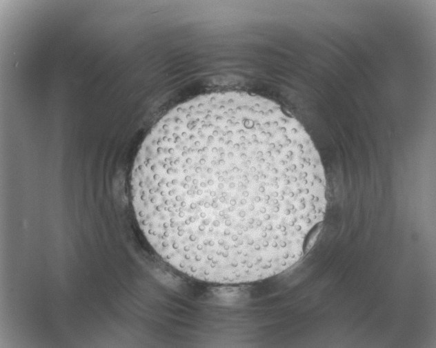 X0000063520187200602172225