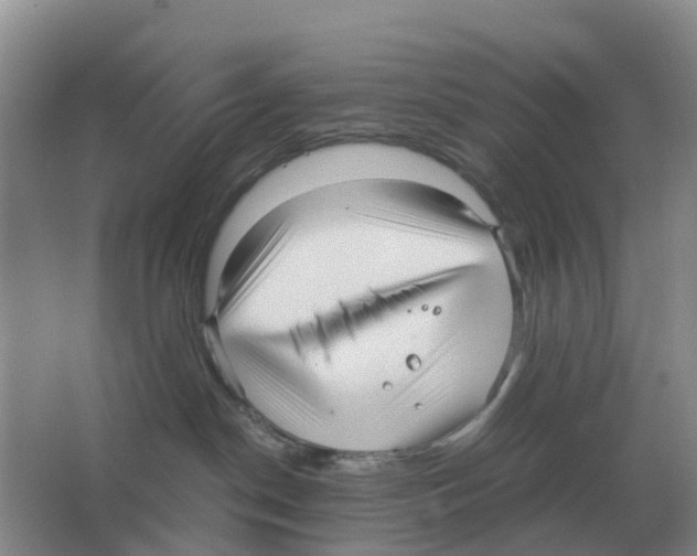 X0000063520190200602172225