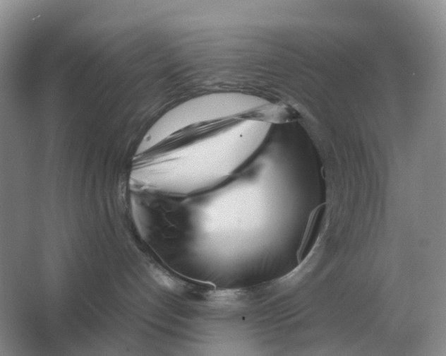 X0000063520192200602172225