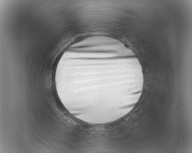 X0000063520194200602172224