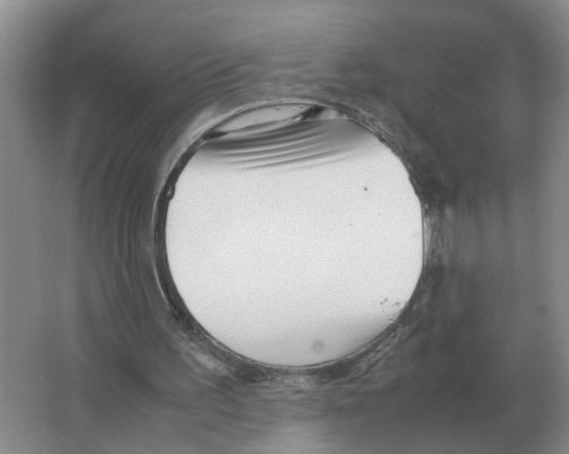 X0000063520195200602172224