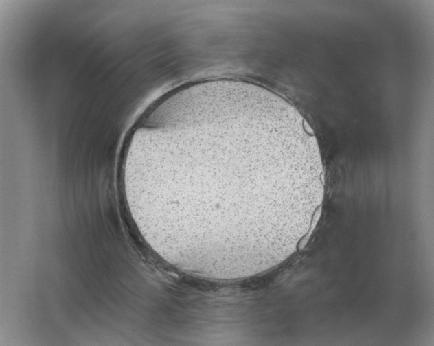 X0000063520196200602172224