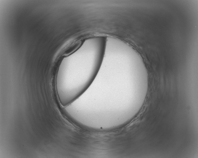 X0000063520197200602172224