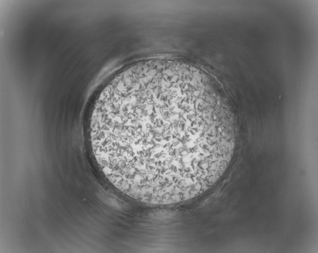 X0000063520198200602172224