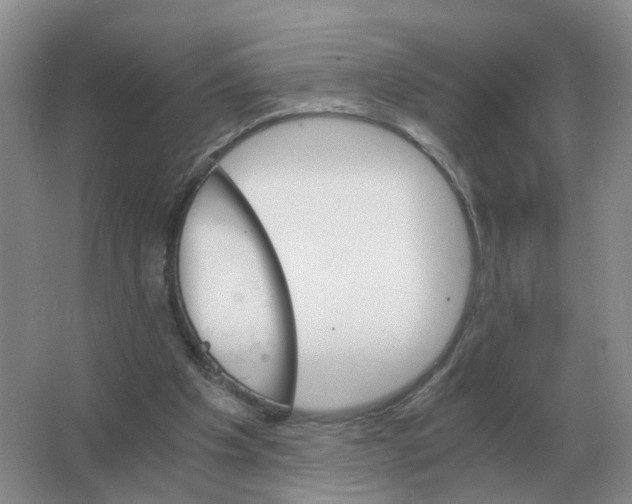 X0000063520201200602172224