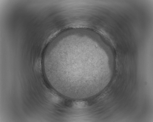 X0000063520202200602172224