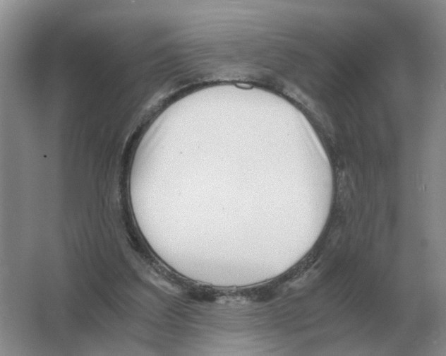 X0000063520203200602172224