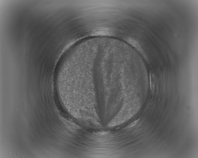 X0000063520204200602172224