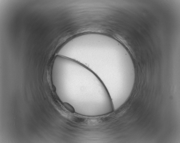 X0000063520205200602172224