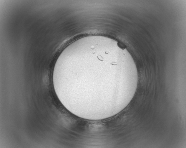 X0000063520208200602172224