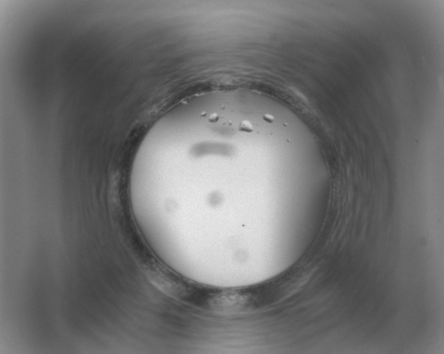 X0000063520217200602172223