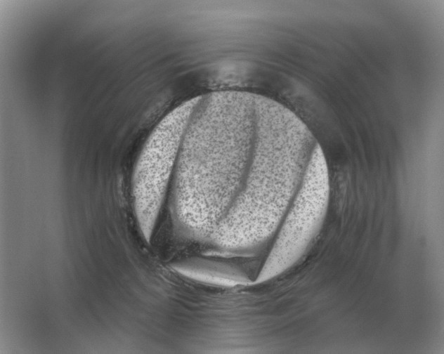 X0000063520224200602172223