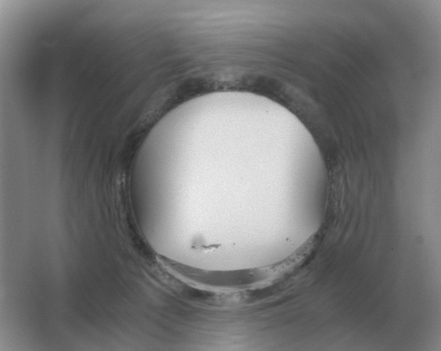 X0000063520225200602172223