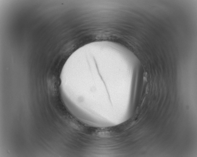 X0000063520228200602172223