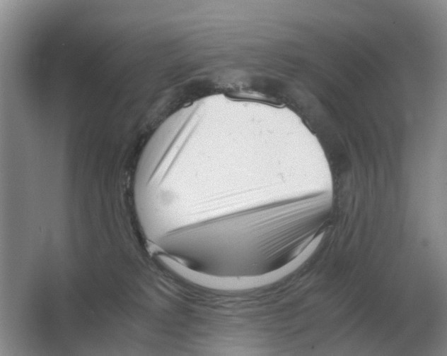 X0000063520229200602172223