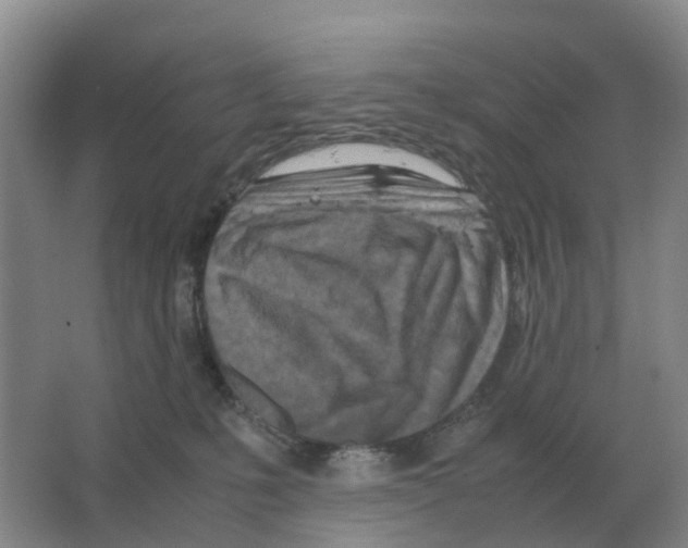 X0000063520231200602172223