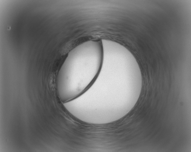 X0000063520233200602172223