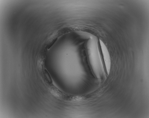 X0000063520235200602172223