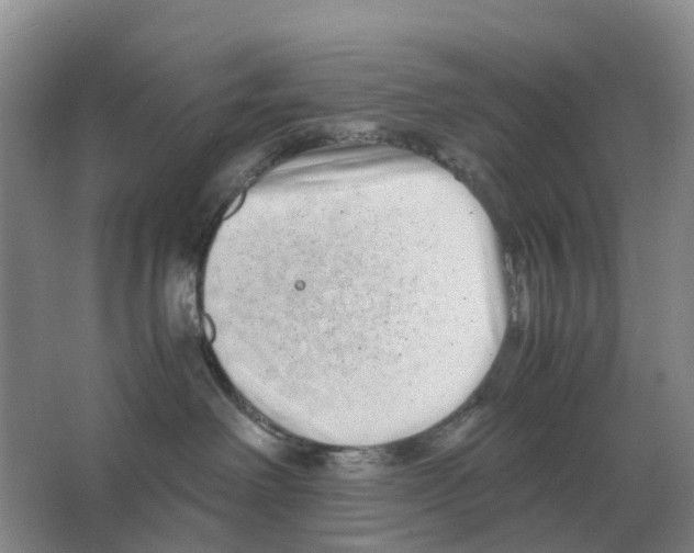 X0000063520238200602172223