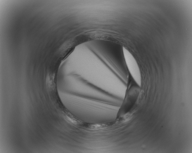 X0000063520239200602172223