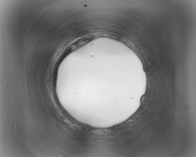 X0000063520241200602172222