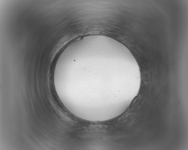 X0000063520242200602172222