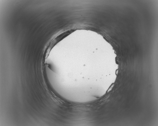 X0000063520244200602172222