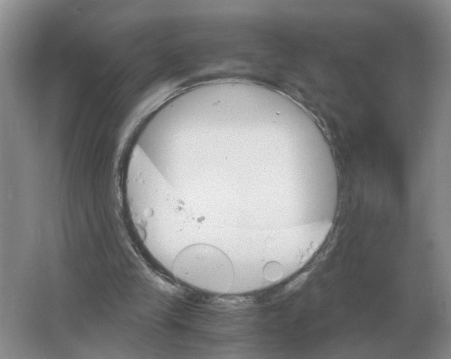 X0000063520245200602172222