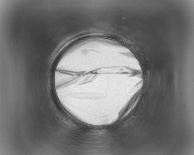 X0000063520247200602172222