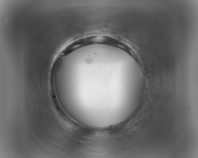 X0000063520248200602172222