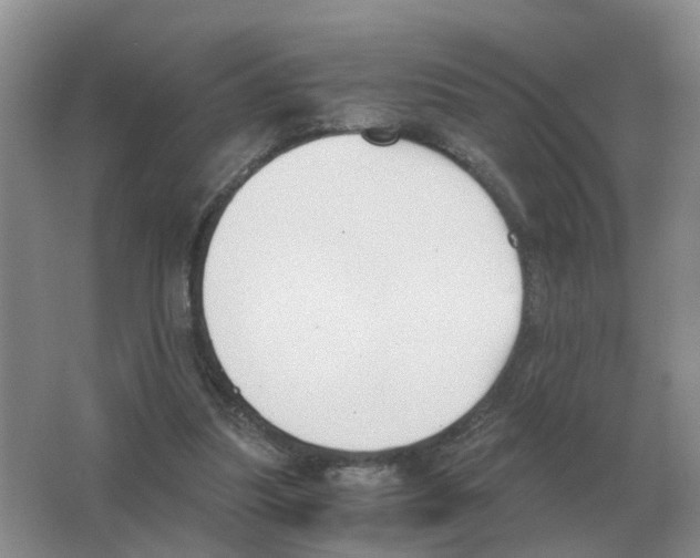 X0000063520251200602172222