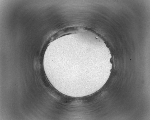 X0000063520252200602172222