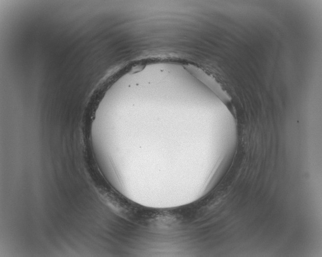 X0000063520256200602172222