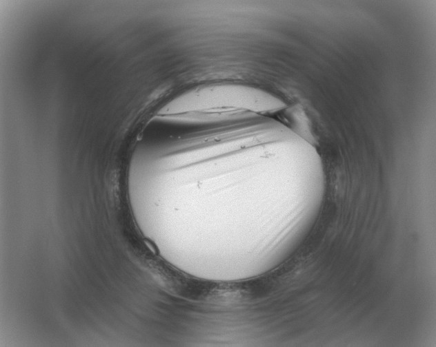 X0000063520260200602172222