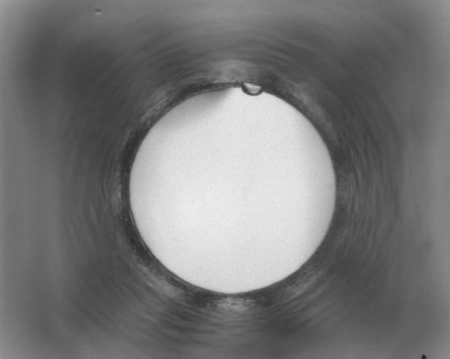 X0000063520261200602172222