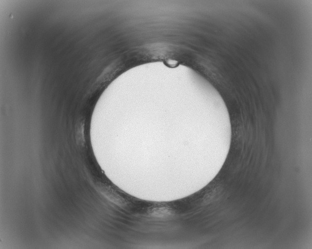 X0000063520262200602172222