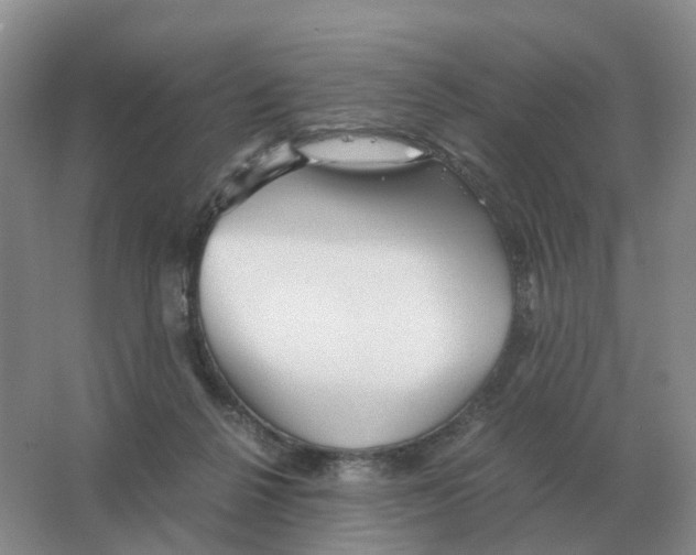 X0000063520264200602172223