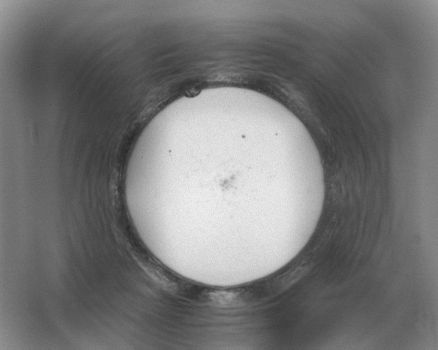 X0000063520265200602172223