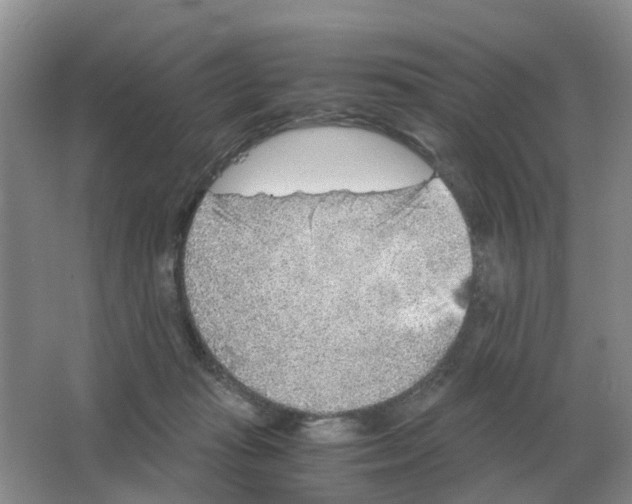 X0000063520269200602172223