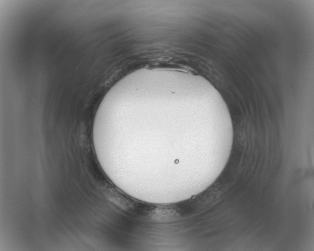 X0000063520270200602172223