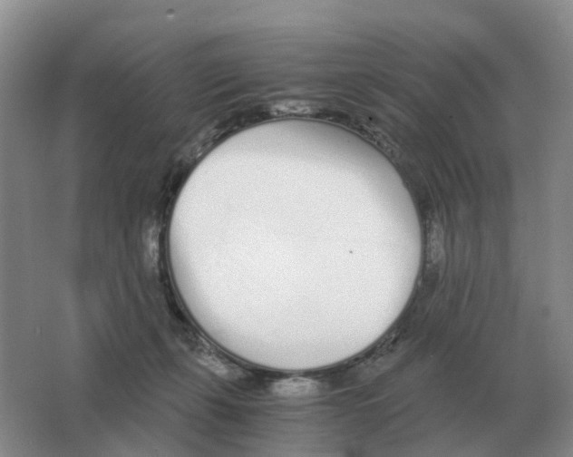 X0000063520271200602172223