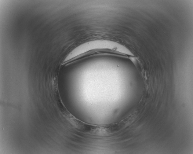 X0000063520276200602172223