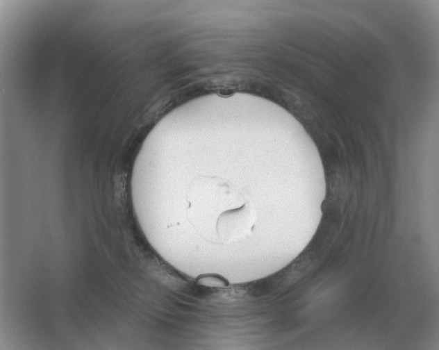 X0000063520278200602172223