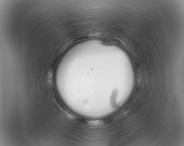 X0000063520281200602172223