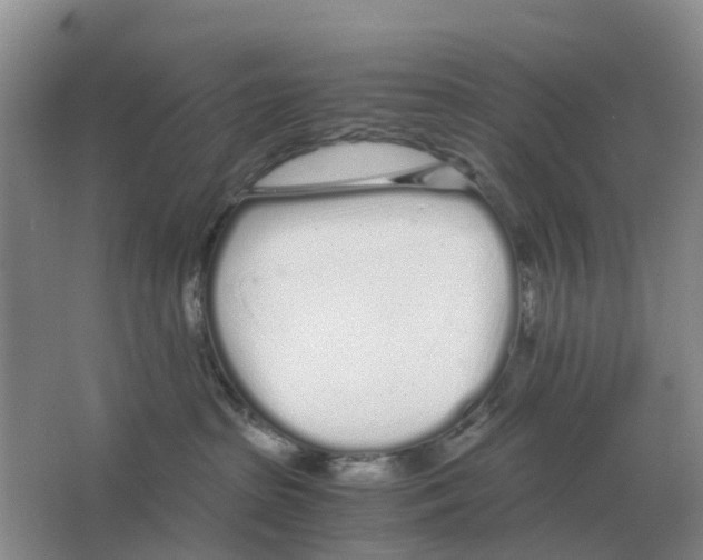 X0000063520285200602172223